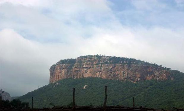 Seshachalam hills in Tirupati Seshachalam hills in Tirupati